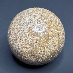 SP206 Dinosaur Bone