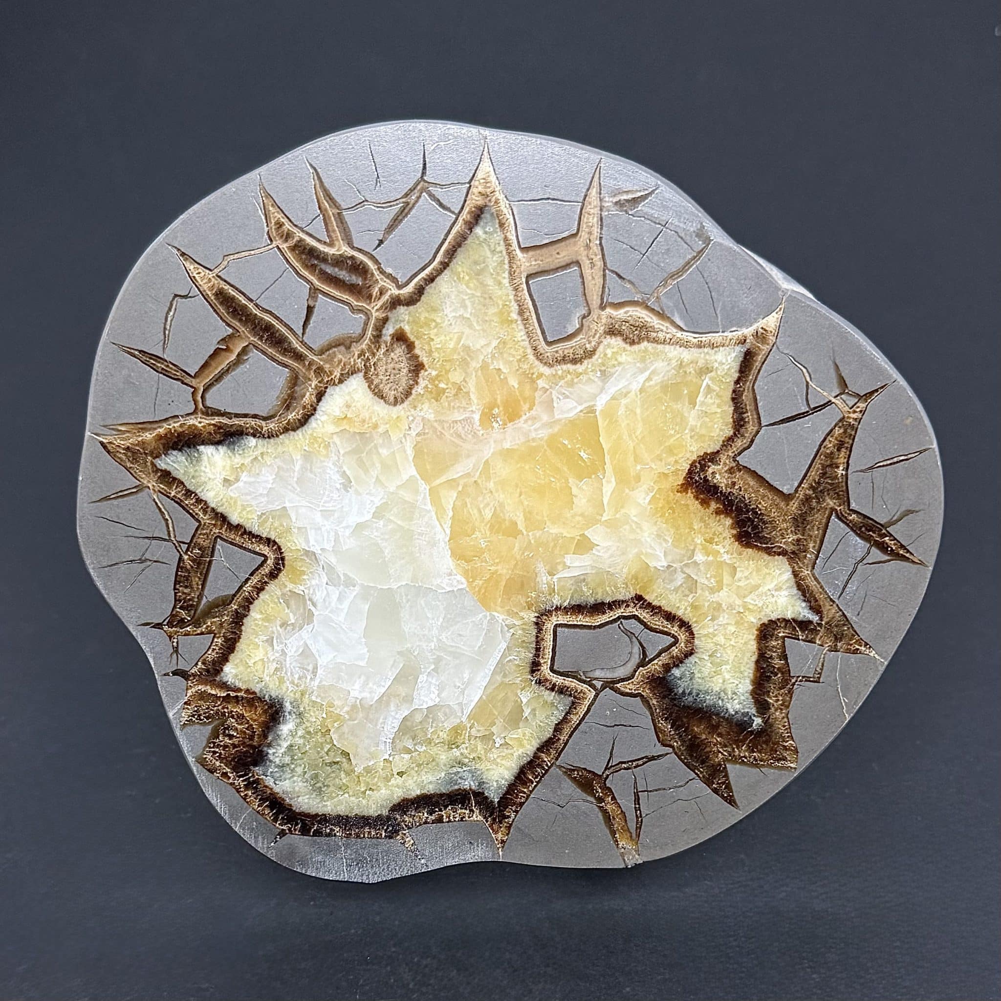 SEP106 Septarian Slab