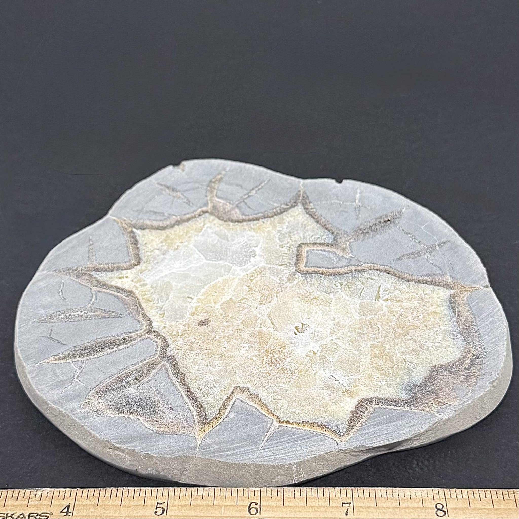 SEP106 Septarian Slab - Image 2