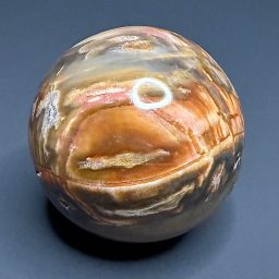 SP505 Petrified Wood
