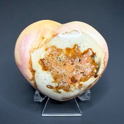 H101 Polychrome Jasper