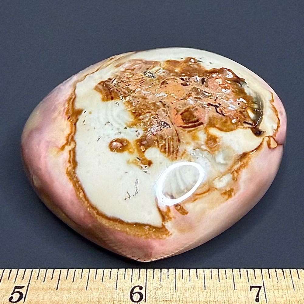 H101 Polychrome Jasper