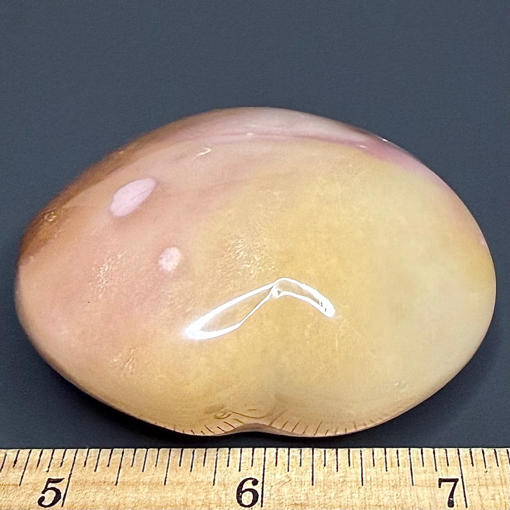 H101 Polychrome Jasper - Image 3