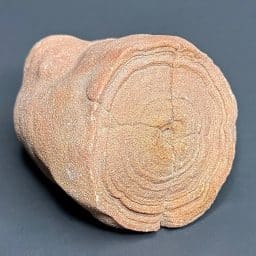 FO506 Stromatolite