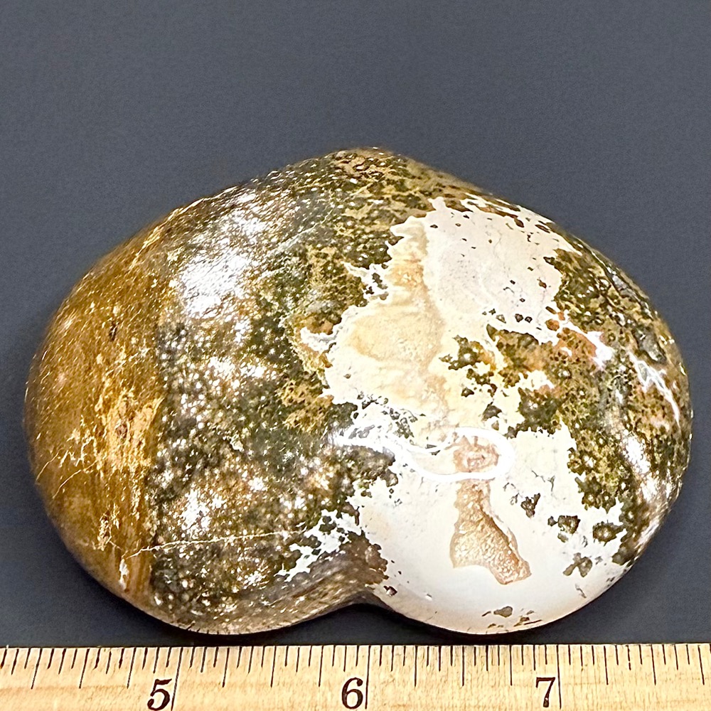 H310 Sea Jasper - Image 3