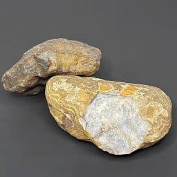 BCR321 Black Skin Agate