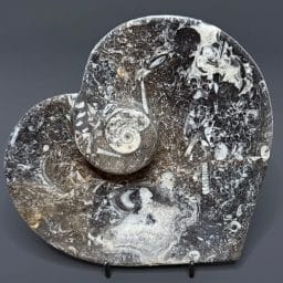 FO615 Heart Shaped Fossil Dish