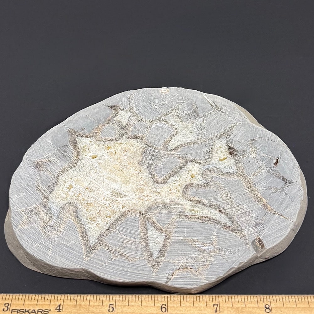 PR510 Septarian Slab - Image 2