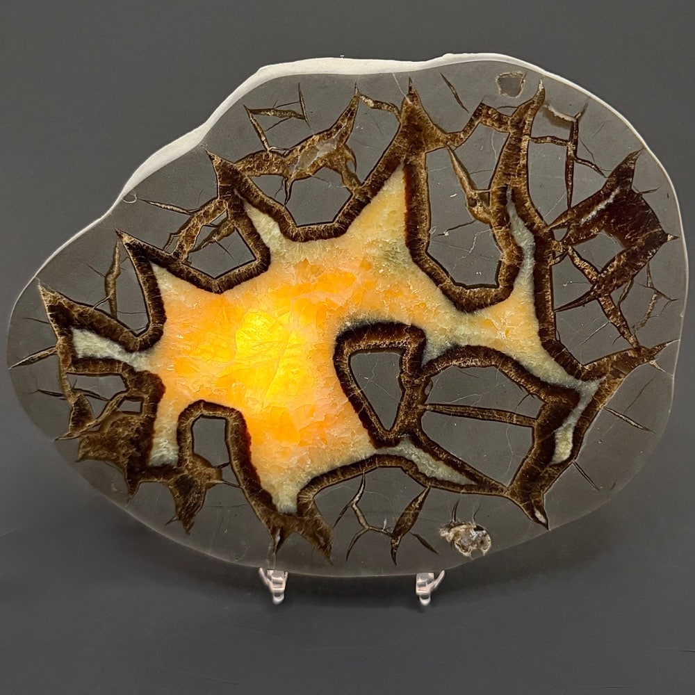 PR510 Septarian Slab - Image 3