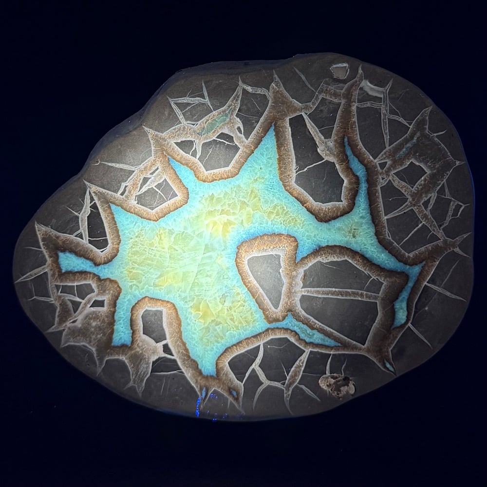 PR510 Septarian Slab