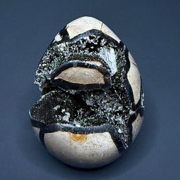 EGG107 Septarian