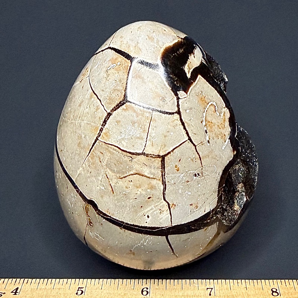 EGG107 Septarian - Image 2