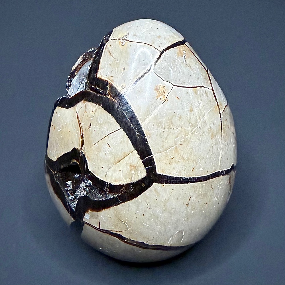 EGG107 Septarian - Image 4