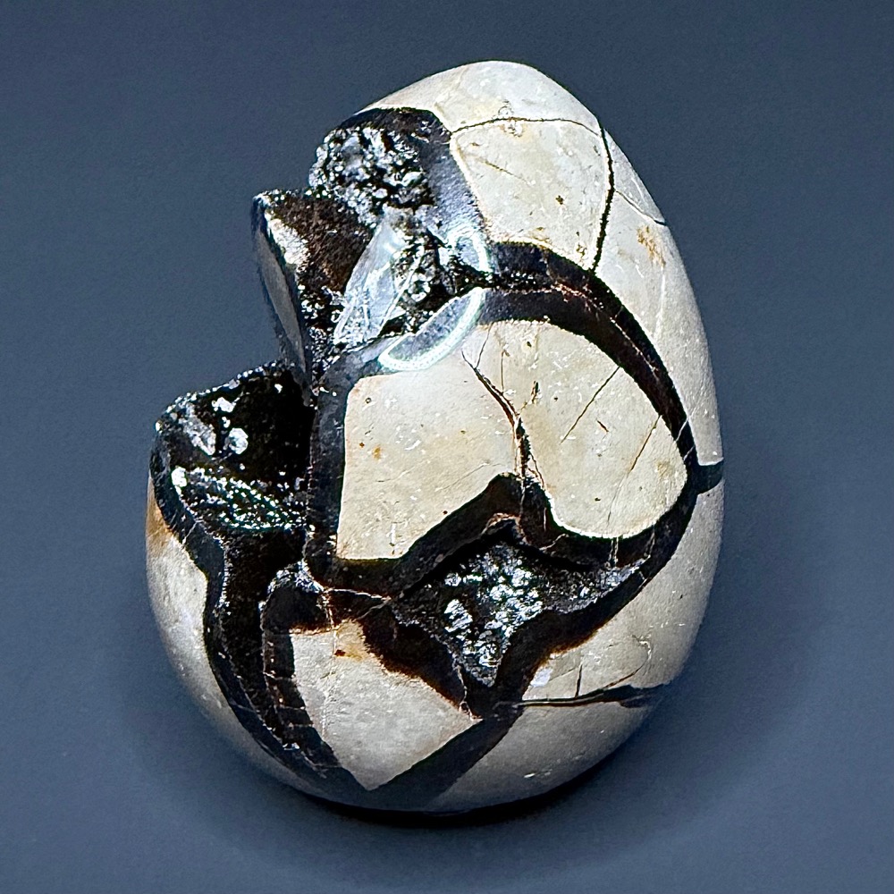 EGG107 Septarian - Image 5