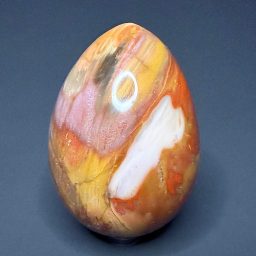 EGG311 Petrified Wood
