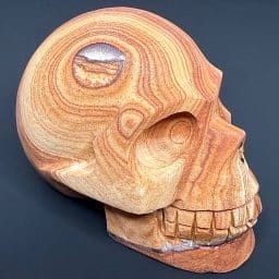 CV116 Sandstone Skull