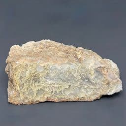 BCR317 "Egg Drop Soup" Plume Agate