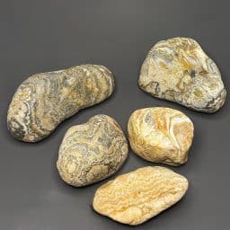BCR318