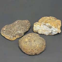 BCR321 Black Skin Agate