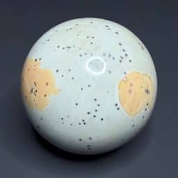 SP806 Polychrome Jasper
