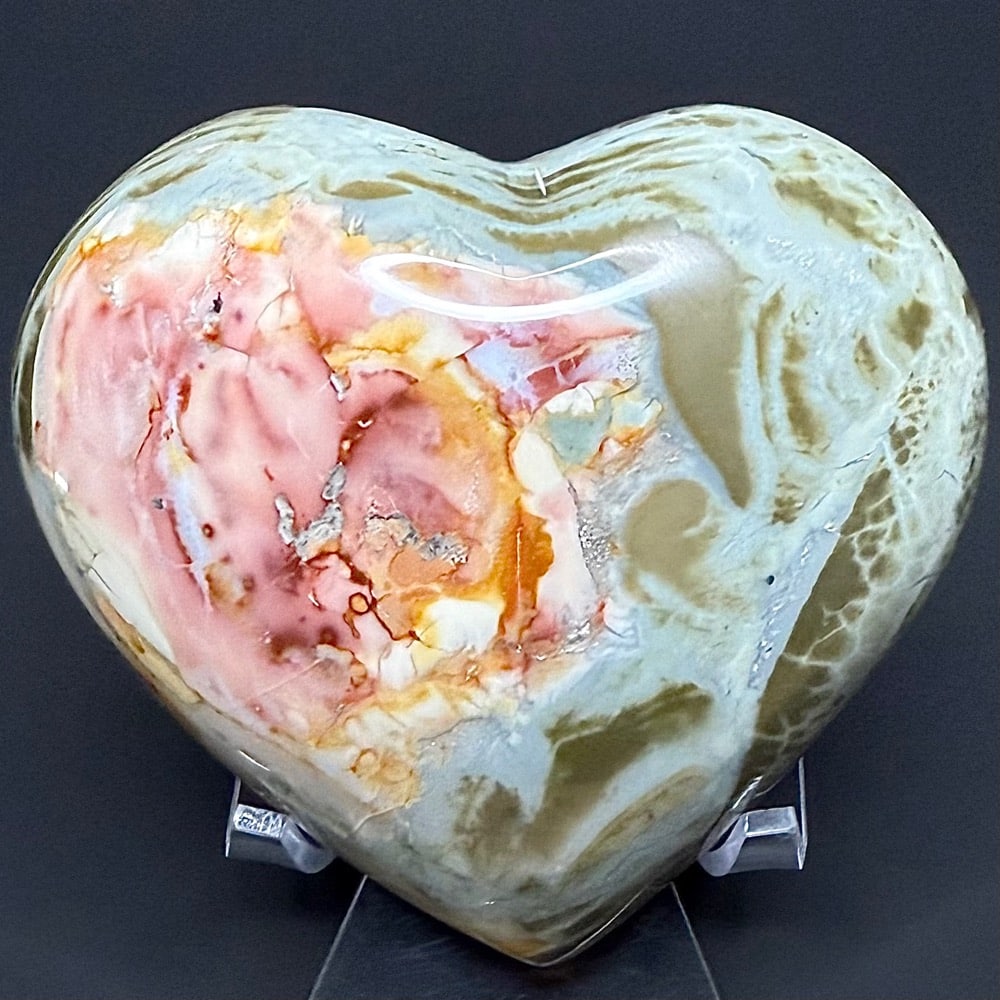 H312 Polychrome Jasper