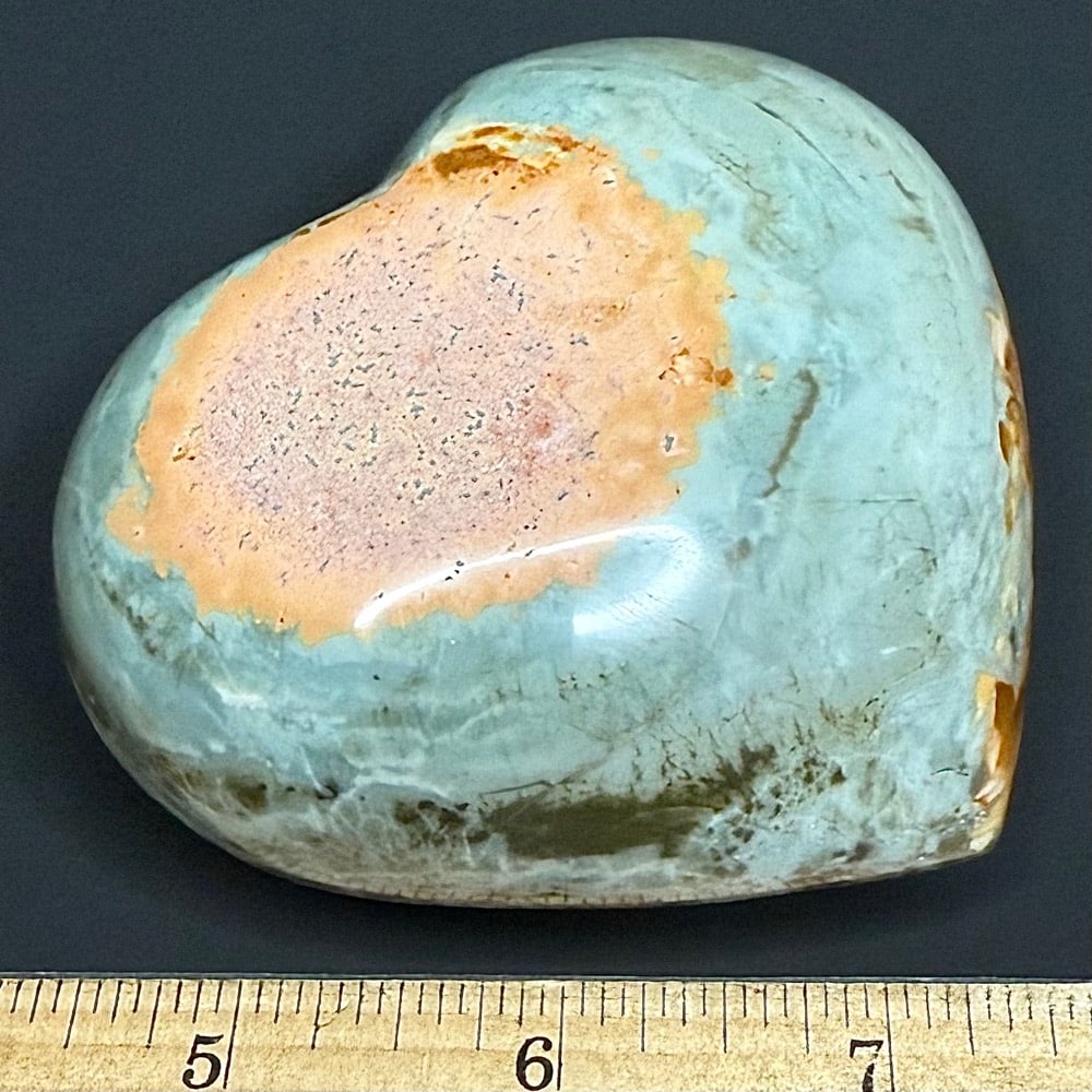 H312 Polychrome Jasper