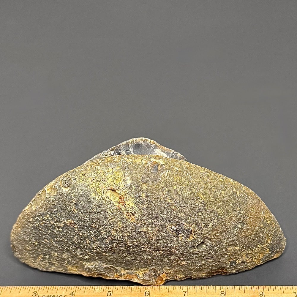 BCR307 Brazilian Agate - Image 2