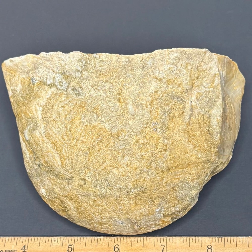 BCR318 Prairie Agate - Image 3