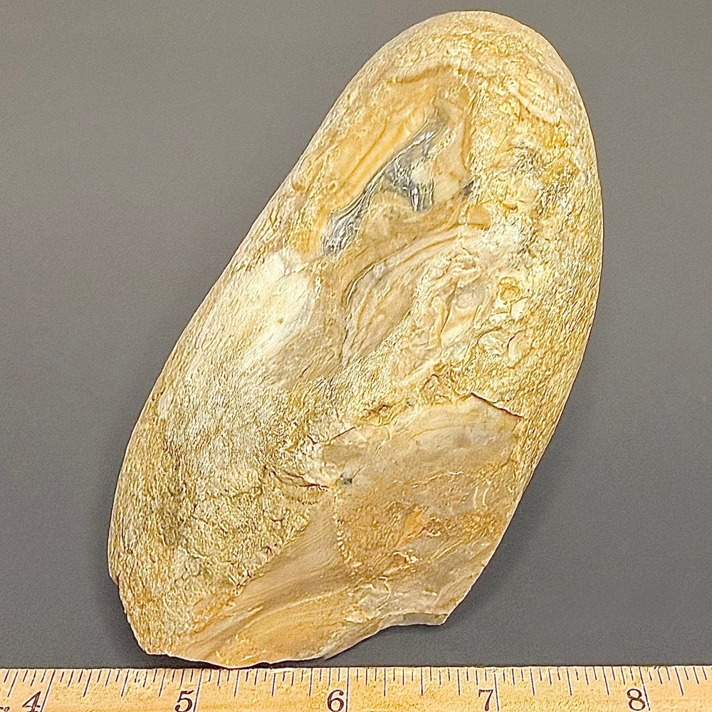 BCR318 Prairie Agate - Image 4