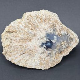 M809 South Dakota Chalcedony