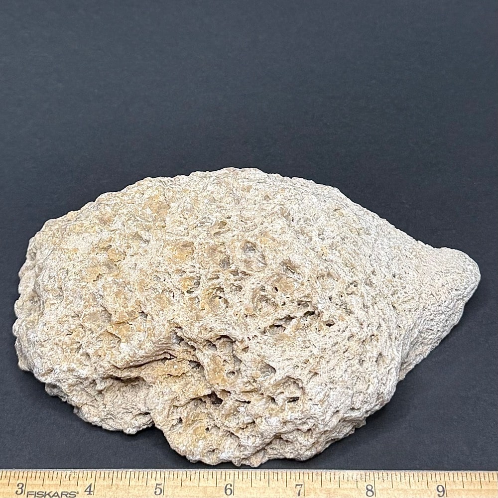 M809 South Dakota Chalcedony - Image 2