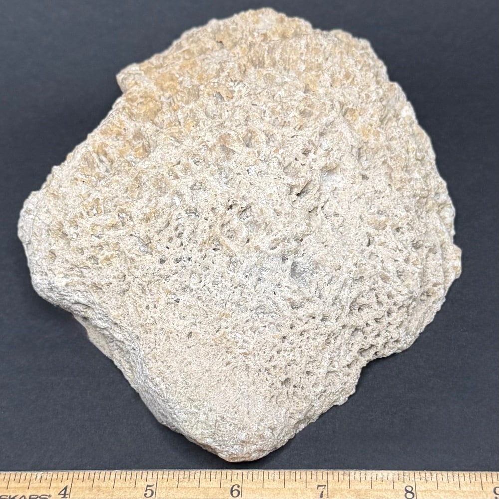 M809 South Dakota Chalcedony - Image 3