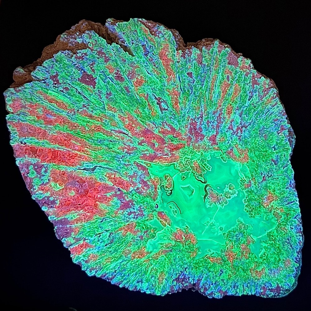 M809 South Dakota Chalcedony