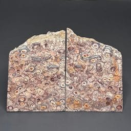 BK410 Birdseye Rhyolite Bookends