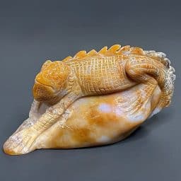 CV419 Jasper Lizard