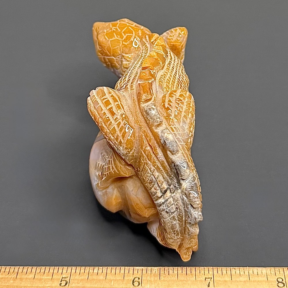 CV419 Jasper Lizard
