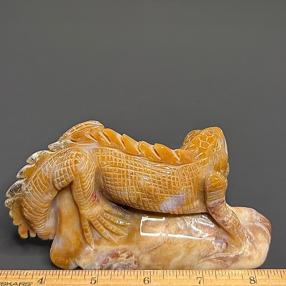 CV419 Jasper Lizard - Image 3