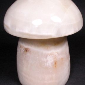 Aragonite Mushroom