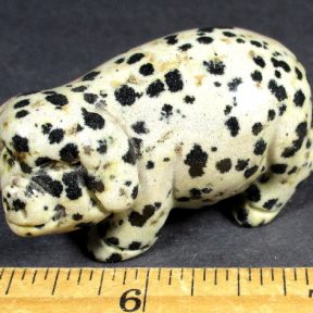 Dalmatian Stone Pig