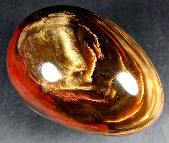 Petrified Wood Egg