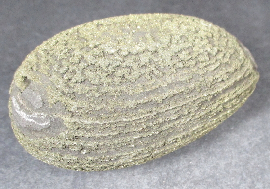 Pyrite Concretion