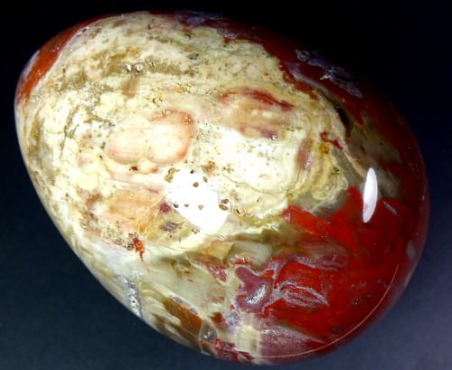 Petrified Wood egg from Madagascar