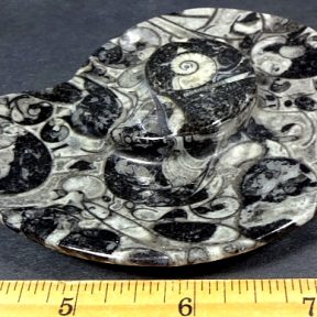 Fossil Rock Dish