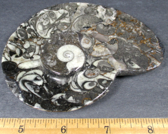 Fossil Rock Dish