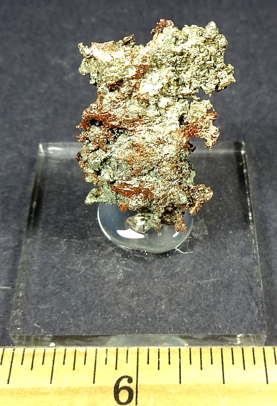 Copper Silver Half Breed