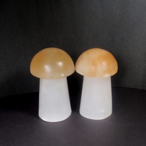 Selenite Mushroom Lamp