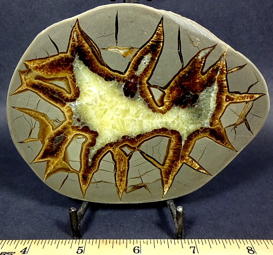 Septarian End