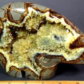 Yellow and Brown Bear carved from a Utah Septarian Nodule
