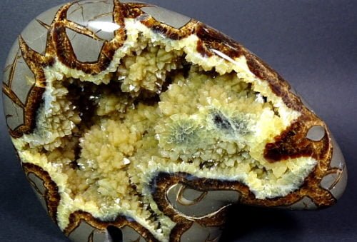 Yellow and Brown Bear carved from a Utah Septarian Nodule