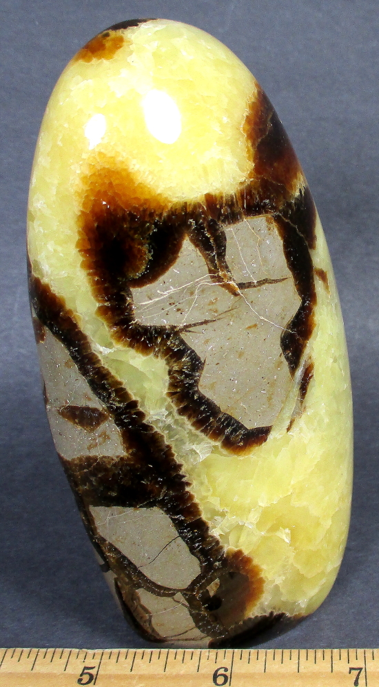 Septarian Free Form